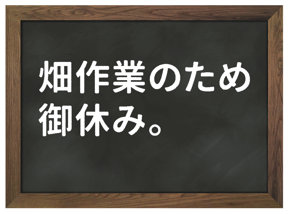 畑作業のため御休み。